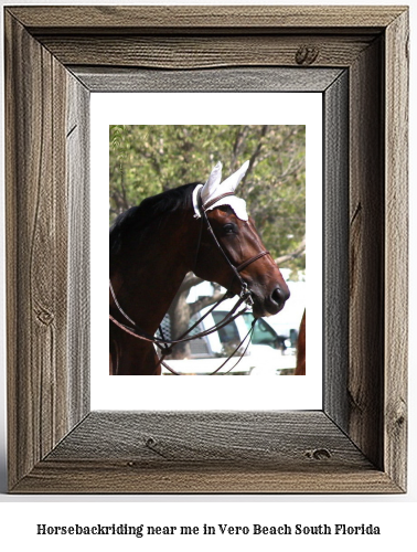 horseback riding near me in Vero Beach South, Florida